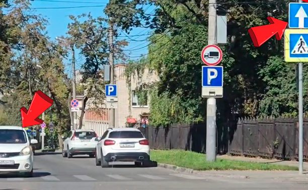 В Туле водитель неспешно прокатился «против шерсти»