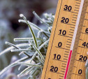 Погода в Туле 5 декабря: до нуля градусов, небольшой снег