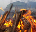 Высокая степень пожароопасности: В двух районах Тульской области объявлено метеопредупреждение