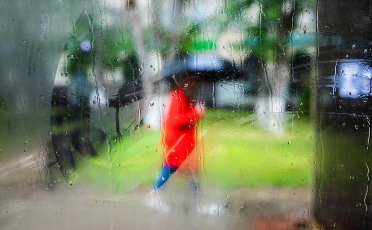 Погода в Туле 15 августа: дождь с грозой, облачно и ветрено