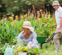 Пожилых туляков научат выращивать овощи и ухаживать за домашними питомцами