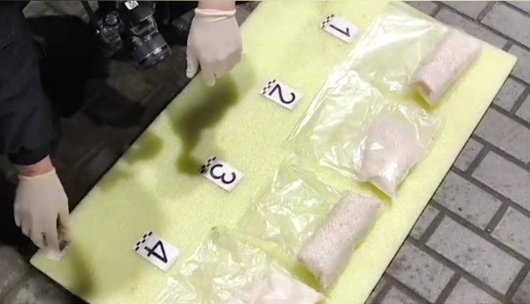 Наркокурьер с маламутом забрал закладки из тайника в Тульской области 