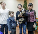 Алексей Дюмин передал мальчику из Донского собаку от имени Президента 