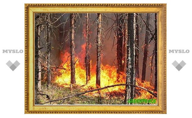 Для предотвращения лесных пожаров под Тулой опахивают поля