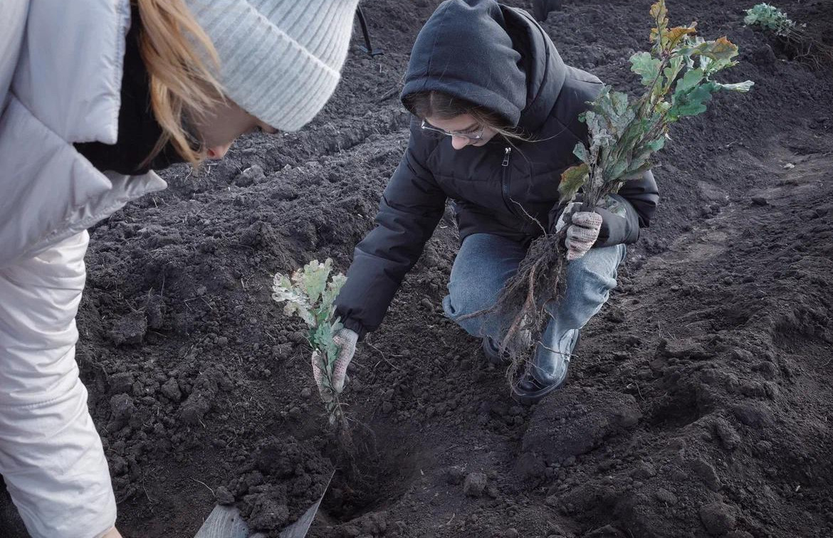 На Куликовом поле высадили 5000 сеянцев дуба