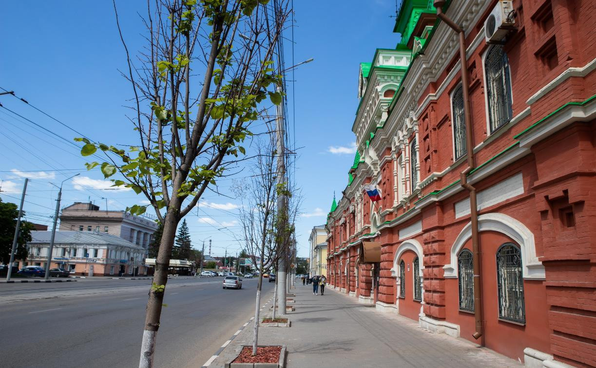 На ул. Советской в Туле весной заменят липы