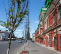 На ул. Советской в Туле весной заменят липы