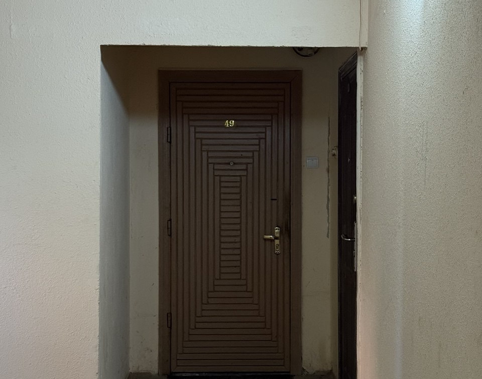 «Всем было ***»: запертые в квартире на Галкина собаки 2 месяца пили из унитаза и съели своих щенков