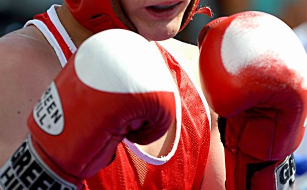 Юные тульские боксеры продолжают борьбу за медали