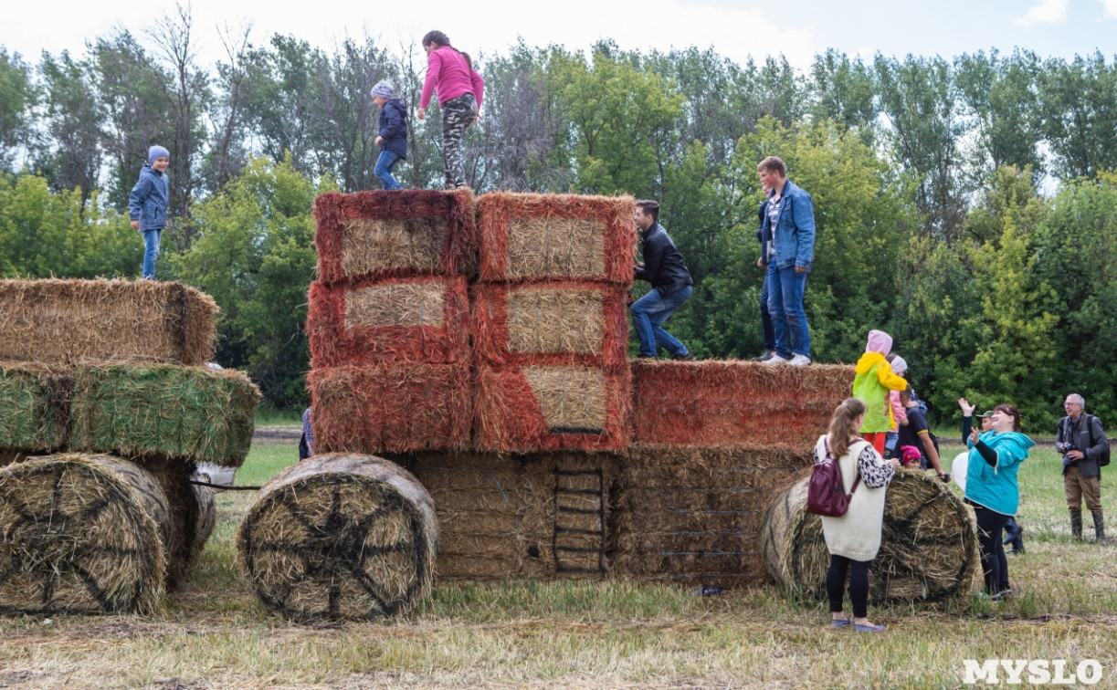 В Тульской области отметят День поля