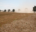 Россия побила свой рекорд экспорта зерна