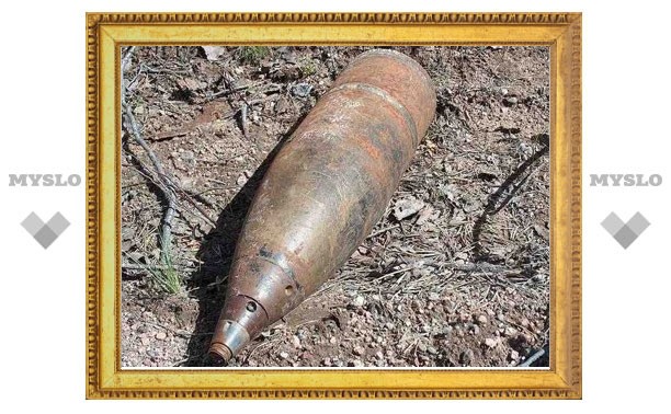 В пруду под Тулой нашли артиллерийский снаряд