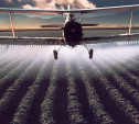 Жителей Ефремова травили пестицидами с применением авиации