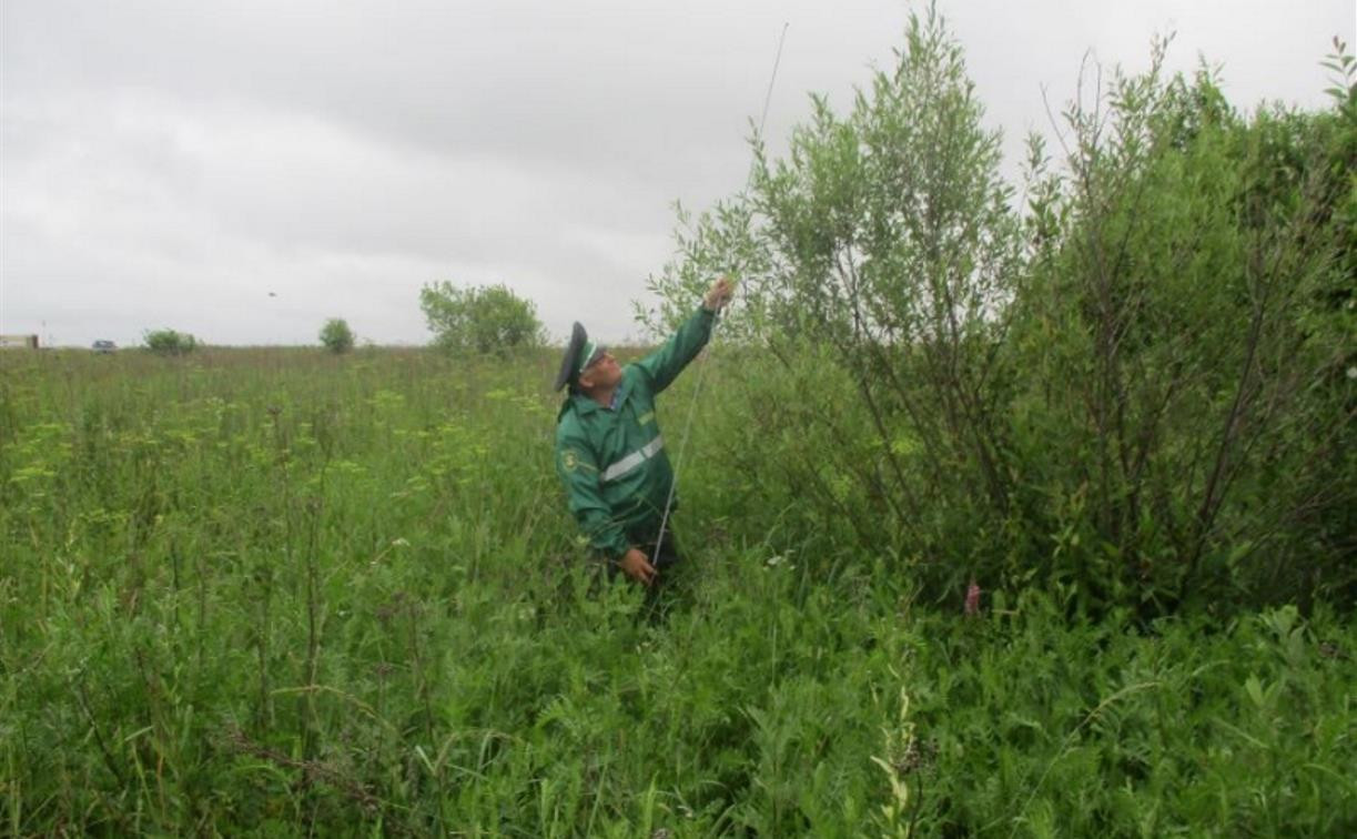 Фермер из Ясногорска 4 года не следил за своим участком и остался без земли