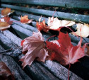 Погода в Туле 4 ноября: небольшой дождь и до 10 тепла