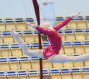 Тульские гимнастки успешно выступили на соревнованиях во Владимире