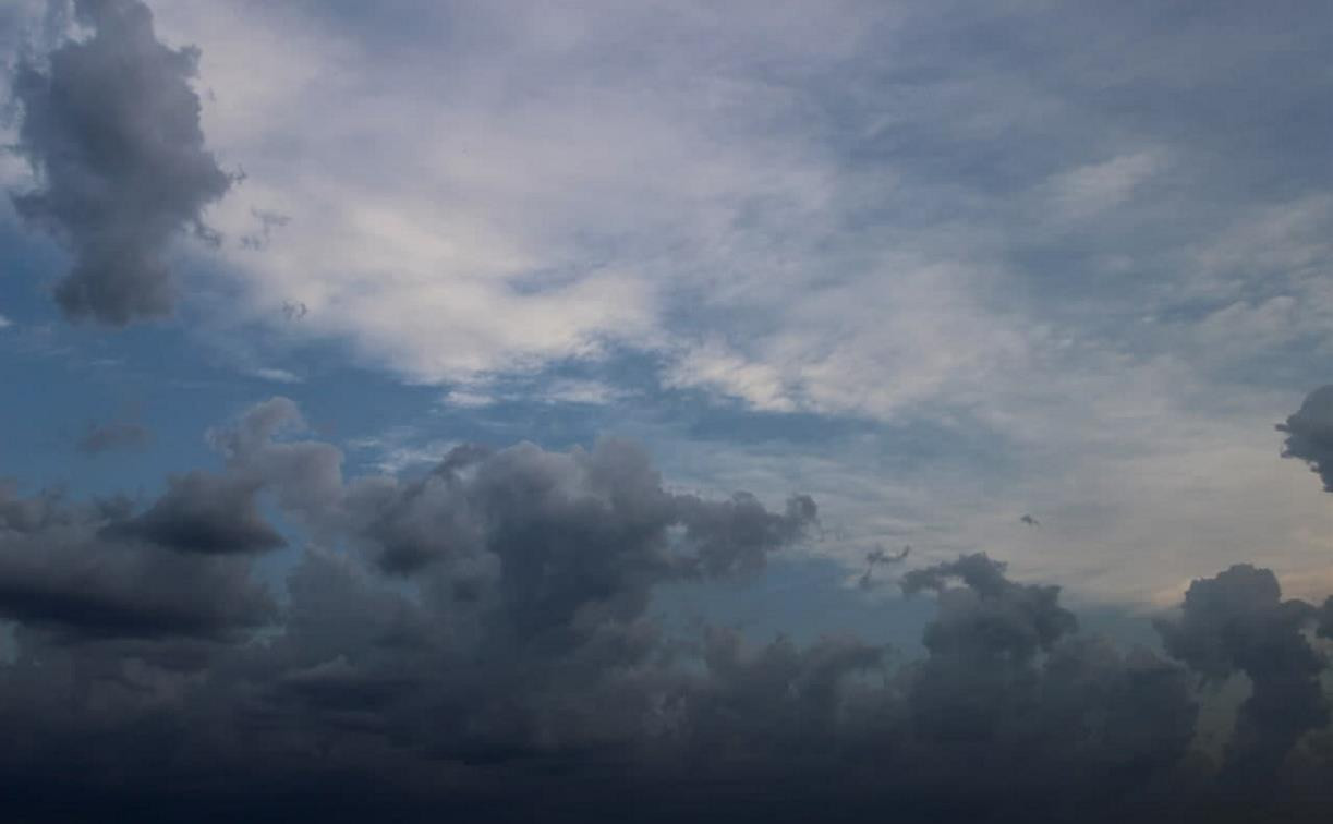Погода в Туле 12 августа: дождливо и прохладно