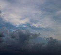 Погода в Туле 12 августа: дождливо и прохладно