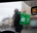 Погода в Туле 21 декабря: морось, ветер и низкое давление