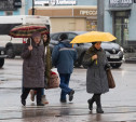 Погода в Туле 25 января: умеренные осадки и до +1