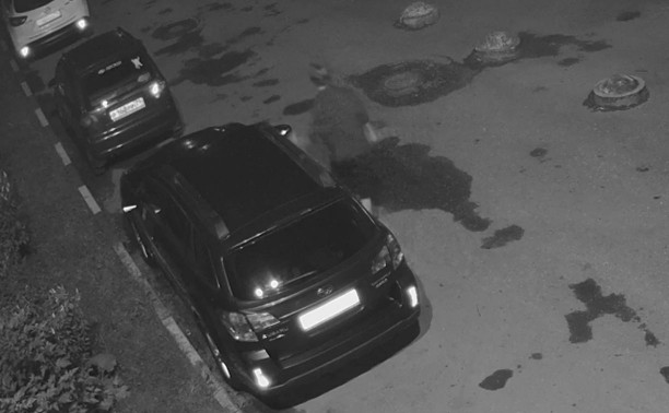В Туле подросток сломал зеркало на автомобиле и попал на видео