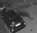 В Туле подросток сломал зеркало на автомобиле и попал на видео