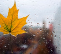 Погода в Туле 27 сентября: дождь, до +13 градусов, порывистый ветер