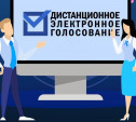 В Тульской области пройдет дистанционное электронное голосование