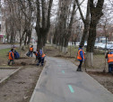 Вдоль веломаршрута «Лев Толстой» на проспекте Ленина начали высаживать липы