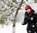 Погода в Туле 20 января: до -8 градусов, пониженное давление и снег