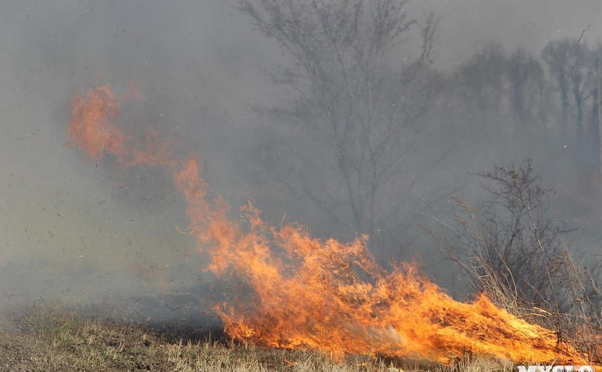 В четырех районах Тульской области сохраняется высокая степень пожароопасности