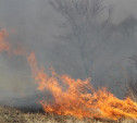 В четырех районах Тульской области сохраняется высокая степень пожароопасности