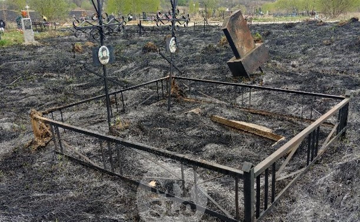 Прокуратура назвала причины серьезного пожара на алексинском кладбище «Стопкино»
