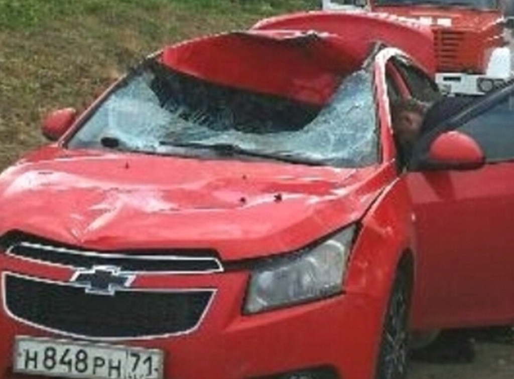 На Венёвском шоссе «Шевроле» сбил лося