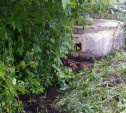 ОНФ добился устранения нарушений в работе очистных сооружений в деревне Яблонево
