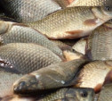 За незаконный вылов рыбы может грозить до пяти лет тюрьмы