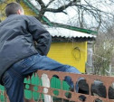 В Суворовском районе проголодавшийся мужчина ограбил дачу
