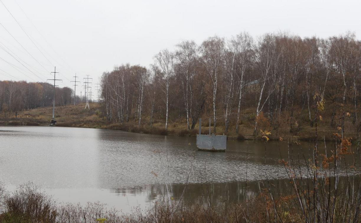 В Рогожинском парке Тулы начали обследовать плотину