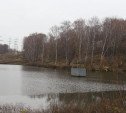 В Рогожинском парке Тулы начали обследовать плотину