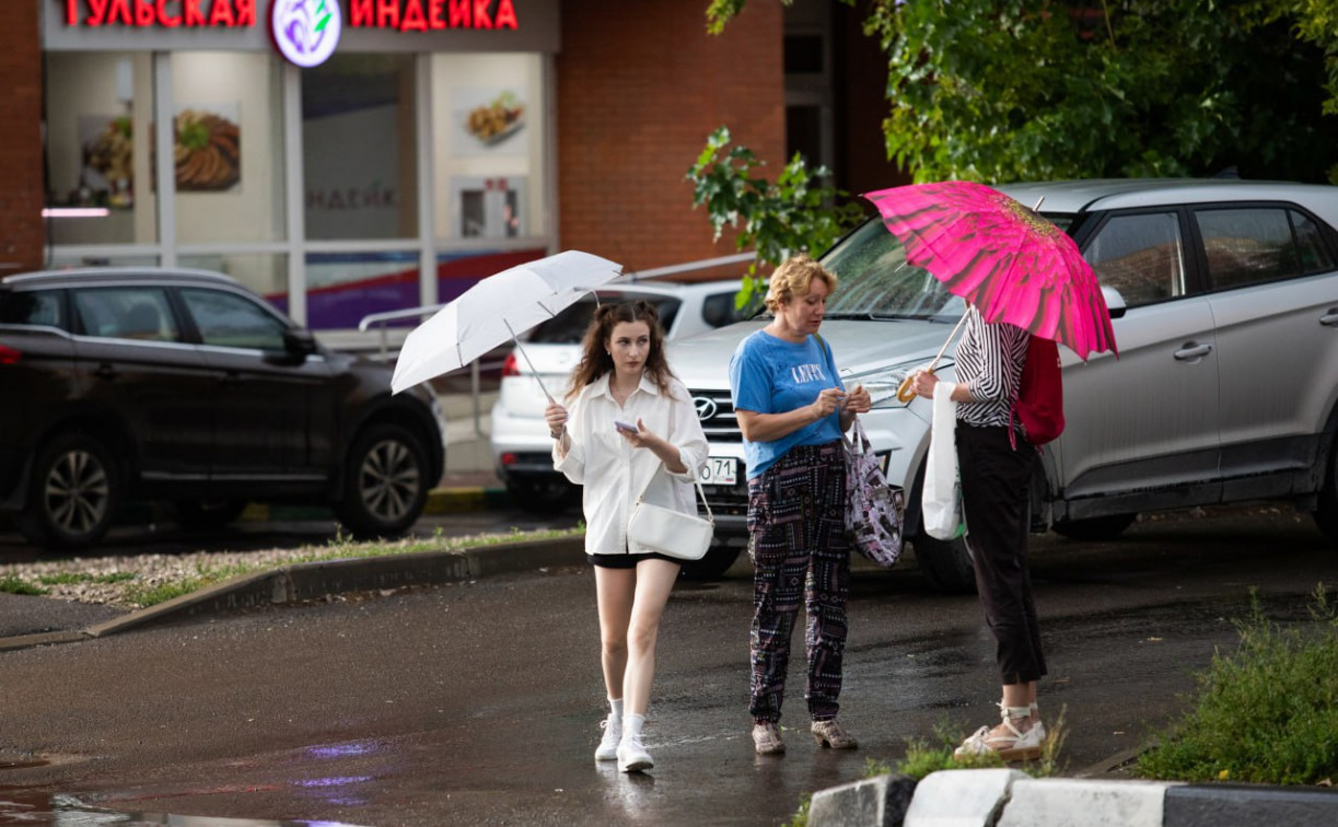 Погода в Туле 11 августа: дождливо и ветрено