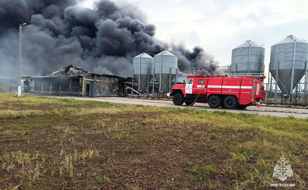 В Тульской области горит «Воловский бройлер»