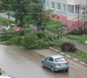 Ураган в Ефремовском районе 