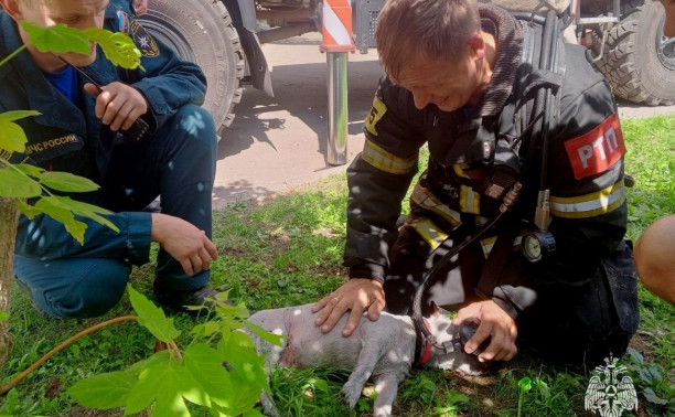 В Алексине сотрудники МЧС России спасли из пожара 10 человек и собаку