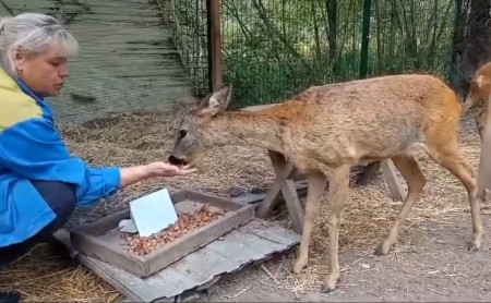 Жизнь Тулы и области