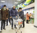 20% россиян признались, что стали экономить на продуктах