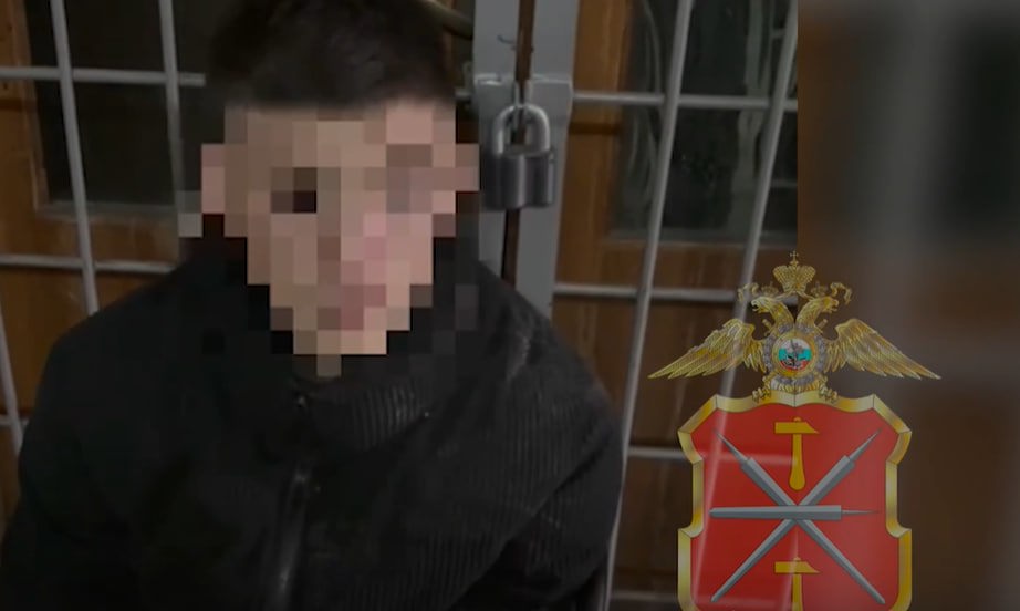 Иностранец избил и ограбил девушку из Щекино 