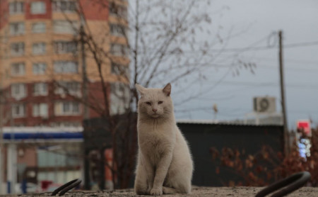 Жизнь Тулы и области