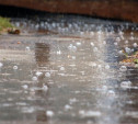 Погода в Туле 30 мая: гроза, дождь с градом и порывистый ветер
