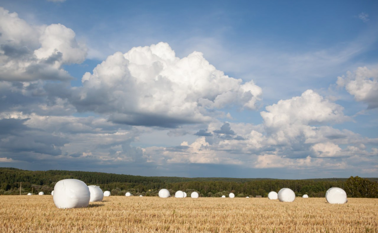 Погода в Туле 3 августа: переменная облачность и до +28 градусов