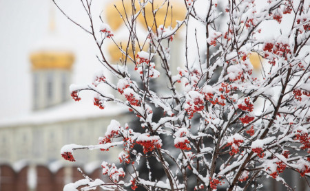Жизнь Тулы и области